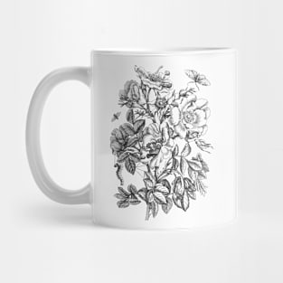 Rose Flower and Butterflies Black & White Vintage Illustration Mug